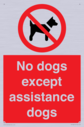 no-dogs-except-assistance-dogs~